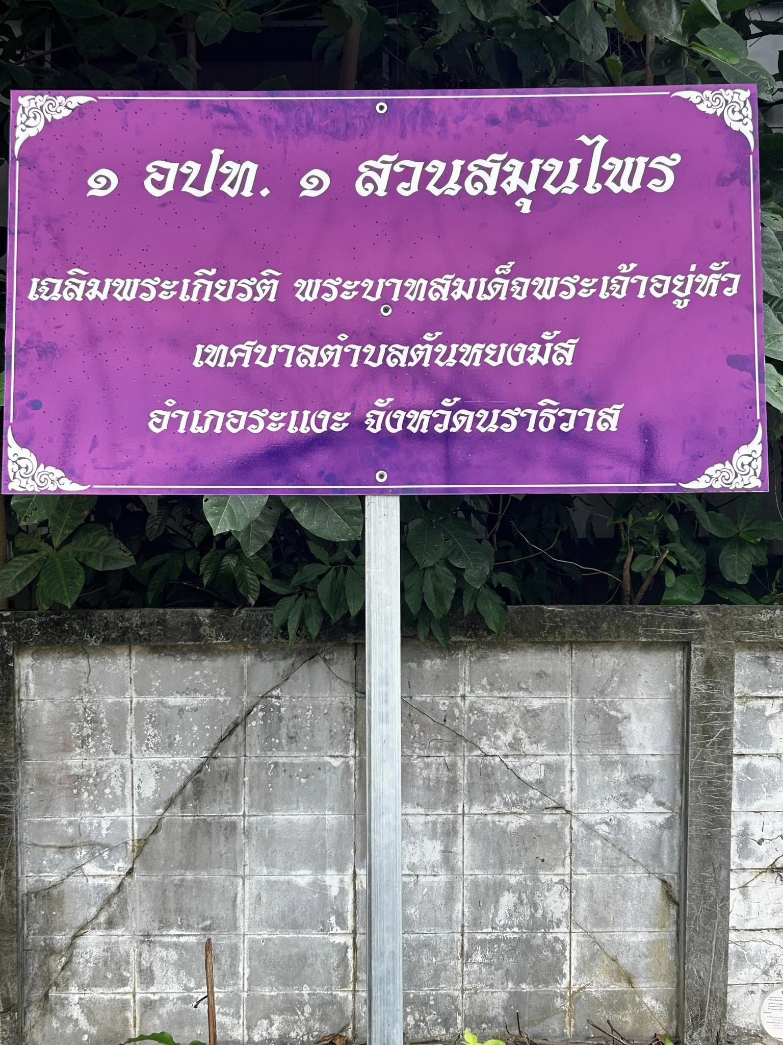 แหล่งเรียนรู้สวนสมุนไพร ภายใต้กิจกรรม 
"สวนสมุนไพรท้องถิ่นทรงคุณค่า " ในสวนสมุนไพรเทศบาลตำบลตันหยงมัส 
เทศบาลตำบลตันหยงมัสเล็งเห็นถึงความสำคัญของการอนุรักษ์การใช้สมุนไพรไทยและสมุนไพรในท้องถิ่นให้เกิดประโยชน์ รวมถึงการอนุรักษ์ภูมิปัญญาไทยจึงได้ดำเนินการจัดทำโครงการ 1 อปท. 
สวนสมุนไพร เฉลิมพระเกียรติ พระบาทสมเด็จพระเจ้าอยู่หัว เนื่องในโอกาสวันเฉลิมพระชนมพรรษา 28 กรกฎาคม 2566 เพื่อให้องค์กรปกครองส่วนท้องถิ่นมีแหล่งเรียนรู้สวนสมุนไพรให้เด็ก เยาวชน และประชาชนในชุมชนได้เห็นคุณค่าของสมุนไพรที่มีอยู่ในชุมชน รวมทั้งเป็นประโยชน์ต่อการรักษาสุขภาพ การอนุรักษ์และการใช้สมุนไพรท้องถิ่นให้เกิดประโยชน์อีกด้วย