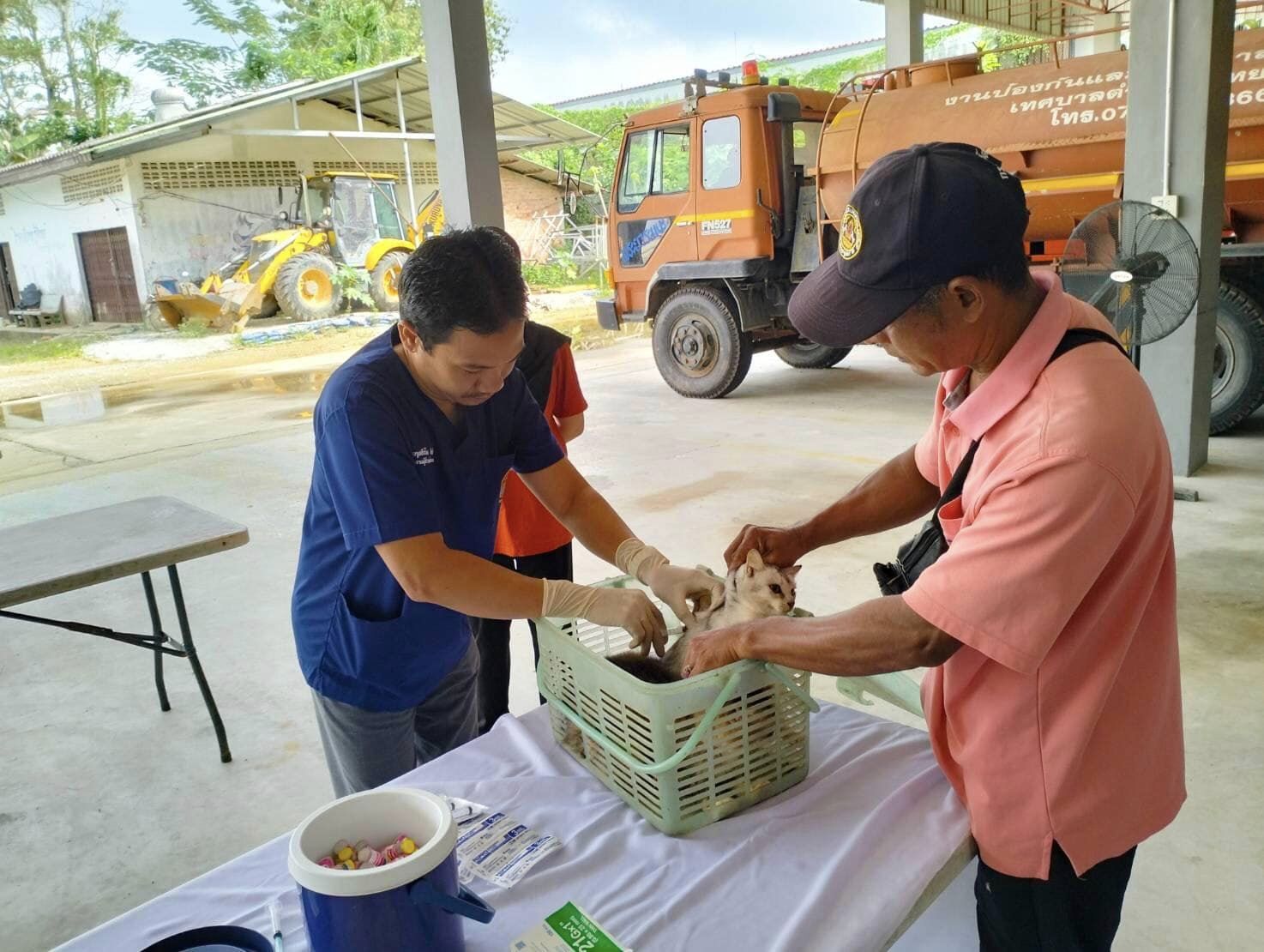 วันพุธ ที่ 10 มกราคม 2567 เทศบาลตำบลตันหยงมัส ร่วมกับสำนักงานปศุสัตว์จังหวัดนราธิวาส และสำนักงานปศุสัตว์อำเภอระแงะ
จัดหน่วยบริการเคลื่อนที่ให้บริการฉีดวัคซีนป้องกัน 
โรคพิษสุนัขบ้า (ฟรี) ณ อาคารงานป้องกันบรรเทาสาธารณภัย 
(สวนวัชระอุทยาน เทศบาลตำบลตันหยงมัส)
ตั้งแต่เวลา 09.00 น. - 12.00 น.