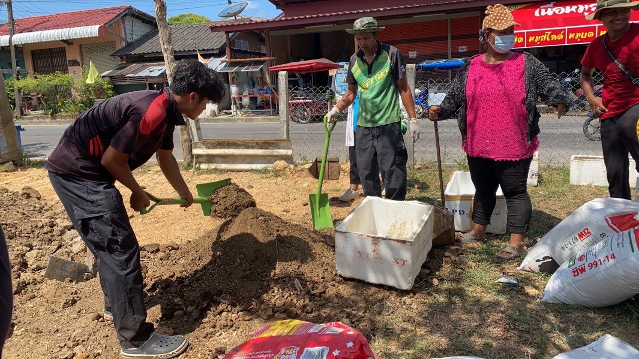 วันที่ 25 มีนาคม 2567 เวลา 09.00 น.
นายประเสริฐ แซ่ฮ่อ นายกเทศมนตรีตำบลตันหยงมัส มอบหมายให้ กองสาธารณสุขและสิ่งแวดล้อม ลงพื้นที่ ปรับปรุงพัฒนาภูมิทัศน์ นำขยะมาปลูกพืชผักสวนครัว และปลูกพื้นที่สีเขียวในชุมชน โดยการนำขยะประเภท โฟม มาปลูกผัก นำดินจากเศษขยะอินทรีย์มาทำปุ๋ย  ณ พื้นที่ศูนย์การเรียนรู้พืชสมุนไพร ถ.เทศบาล1 ต.ตันหยงมัส อ.ระเเงะ จ.นราธิวาส
