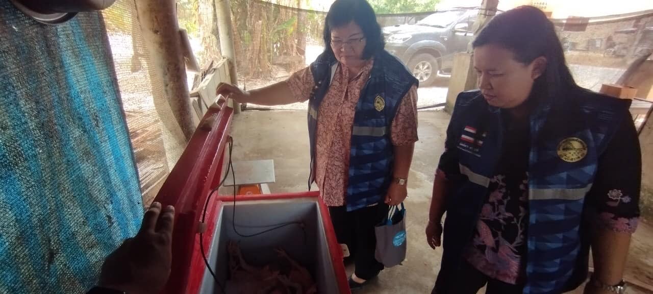 วันที่ 9 เมษายน 2567
นายประเสริฐ แซ่ฮ่อ นายกเทศมนตรีตำบลตันหยงมัส มอบหมายให้ กองสาธารณสุขและสิ่งแวดล้อม ลงพื้นที่ติดตามกรณีโรงเชือดไก่ ไม่ผ่านมาตรฐาน ทั้งนี้ ผู้ประกอบการได้ให้ความร่วมมือเป็นอย่างดี ปรับวิธีการดำเนินกิจการเพื่อให้ถูกหลักสุขลักษณะตามมาตรฐานสาธารณสุขในพื้นที่เขตชุมชน ณ ถนนประชาสามัคคี ตำบลตันหยงมัส อำเภอระแงะ จังหวัดนราธิวาส