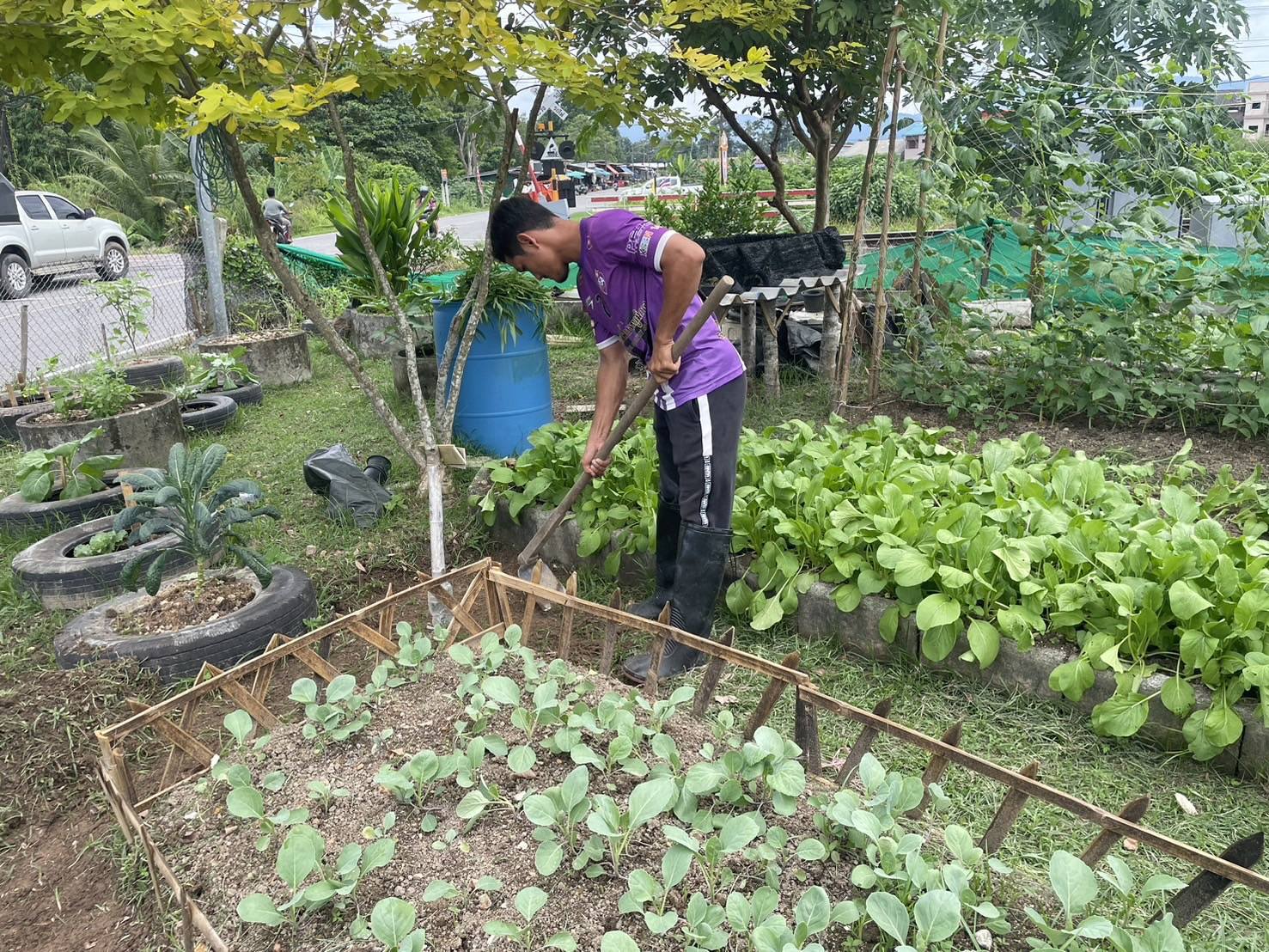 วันพุธ ที่ 16 กรกฎาคม 2568 เวลา 13.00 น. นายธนพล ตันสุนีย์ ผู้อำนวยการกองสาธารณสุขและสิ่งแวดล้อม มอบหมายให้นางสาวอทิติ สุวรรณพรหม เจ้าหน้าที่งานสุขาภิบาลและงานอนามัยสิ่งแวดล้อม พร้อมด้วยนายวรณ นิลโมทย์ เจ้าหน้าที่งานควบคุมโรคติดต่อ และพนักงานรักษาความสะอาด ลงพื้นที่พัฒนาเพื่อเตรียมความพร้อมเพาะปลูกเมล็ดพันธุ์พืชผักสวนครัว นำวัสดุจากขยะรีไซเคิลนำมาเป็นบรรจุภัณฑ์ในการเพาะปลูก และอาศัยขยะอินทรีย์ เช่น ผัก ผลไม้ จากที่เน่าเสียนำมาเป็นปุ๋ยในเป็นประโยชน์ ณ ศูนย์การเรียนรู้ผักปลอดสารพิษ ถนนเทศบาล 1 ตำบลตันหยงมัส อำเภอระแงะ จังหวัดนราธิวาส
#งานประชาสัมพันธ์เทศบาลตำบลตันหยงมัส
#กองสาธารณสุขและสิ่งแวดล้อม
📝ข่าวโดย : กองสาธารณสุขและสิ่งแวดล้อม
--------------------------------------------------------------------------
📌งานประชาสัมพันธ์ กองยุทธศาสตร์และงบประมาณ ติดตามข้อมูลข่าวสารเพิ่มเติม ได้ที่ 
https://www.tanyongm at.go.th/
https://www.facebook.com/TassabanTanyongmat?mibextid=ZbWKwL