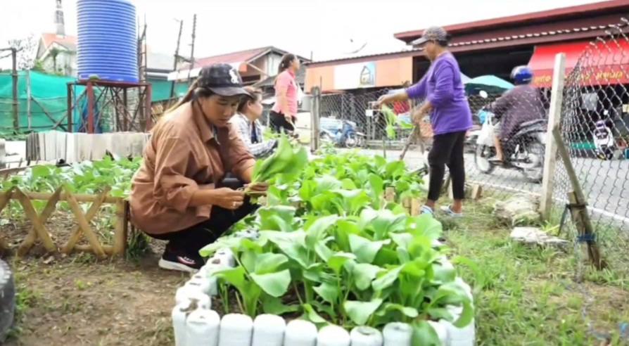 ประชาสัมพันธ์ “พืชผลการเกษตรปลอดภัย” หมู่ที่ 7 ณ ชุมชนโรงเรียนเจริญศึกษา ตำบลตันหยงมัส อำเภอระแงะ จังหวัดนราธิวาส🥬🥦🫜🍄‍🟫🫛
#ตลาดนัดท้องถิ่นออนไลน์เครือข่ายของดีบ้านเรา #ของดีบ้านเรา #เที่ยวท้องถิ่น #จังหวัดนราธิวาส #อำเภอระแงะ #เทศบาลตำบลตันหยงมัส